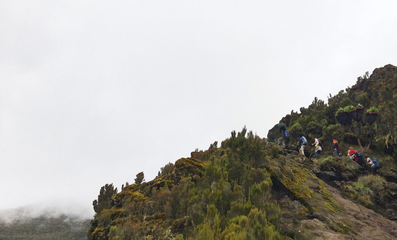 Vaellusta Kilimanjarolla