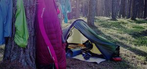 Metsäleiri kesäisessä havumetsässä. Pieni yksikaariinen teltta on pystytetty sammaleiselle maalle, ja sen suuaukko on auki. Sisällä näkyy makuualusta ja varusteita. Vieressä puunrungossa roikkuu makuupussi ja kuivumassa vaatteita. Aamuaurinko suodattuu puiden välistä.