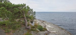 porkkalanniemi