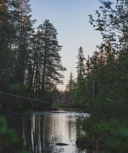 joki