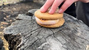 vaahtokarkkihamppari