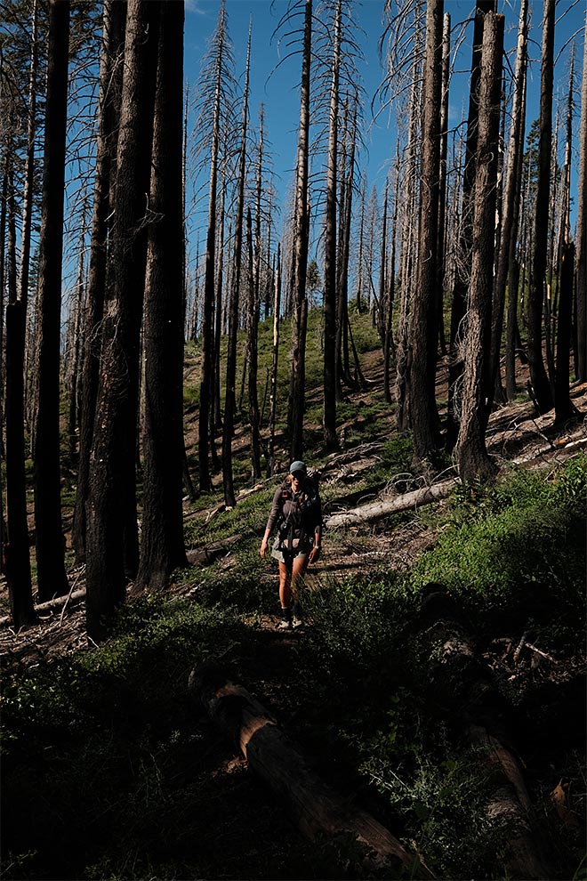 Amanda kävelemässä metsässä, joka on metsäpalon tuhoama ja tummia palaneita puita.