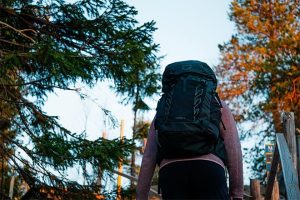 Retkeilijä kulkee portaita ylös metsäisessä ympäristössä reppu selässään ilta-auringossa.