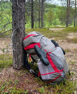 Harmaanpunainen rinkka seisoo pystyssä puuta vasten.