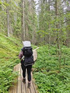 Aikuinen kantaa lasta lastenkantorinkassa pitkospuilla havumetsässä.